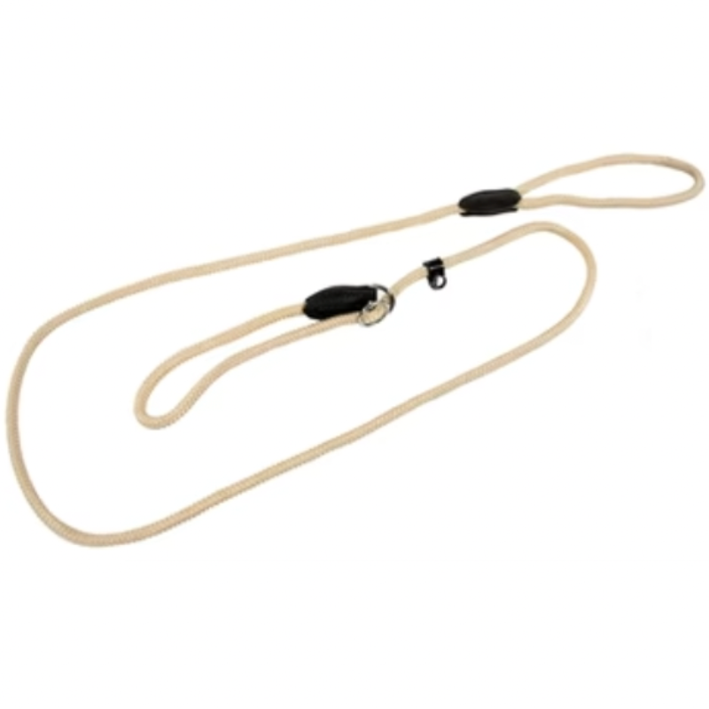 Hundeleine mit Halsband Beige 170X0,8 CM